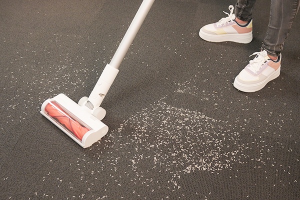 Xiaomi Mi Vacuum G10